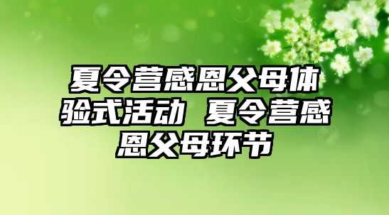 夏令營感恩父母體驗式活動 夏令營感恩父母環節