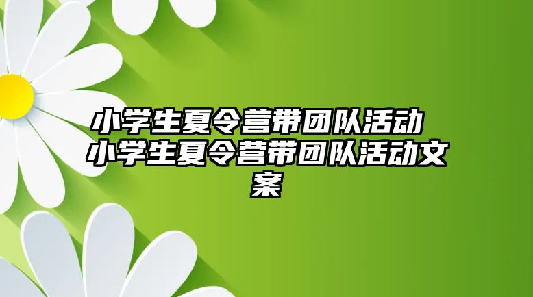 小學生夏令營帶團隊活動 小學生夏令營帶團隊活動文案