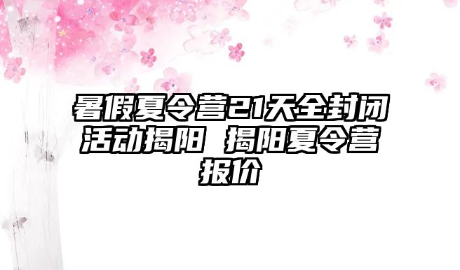 暑假夏令營21天全封閉活動揭陽 揭陽夏令營報價