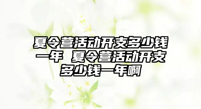 夏令營活動開支多少錢一年 夏令營活動開支多少錢一年啊