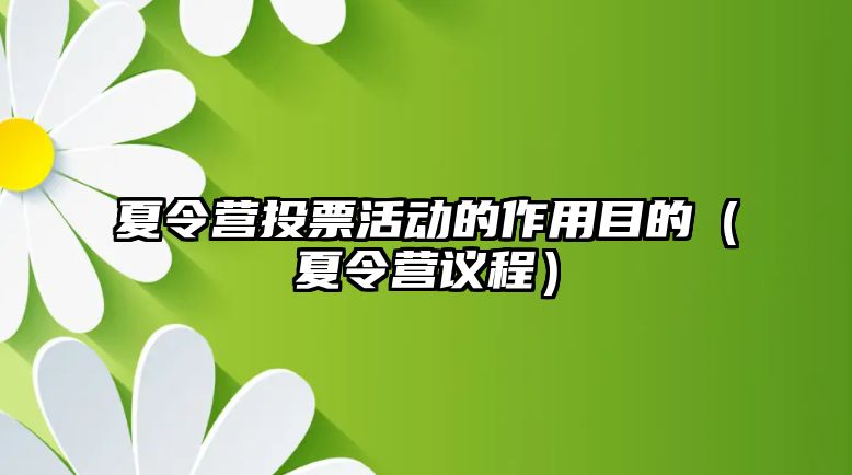 夏令營投票活動的作用目的（夏令營議程）