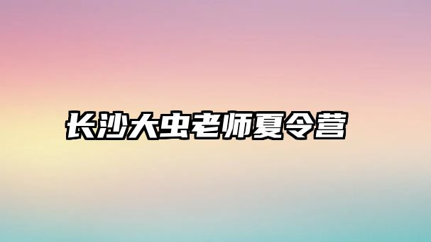 長沙大蟲老師夏令營 