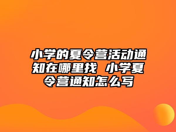 小學(xué)的夏令營活動通知在哪里找 小學(xué)夏令營通知怎么寫