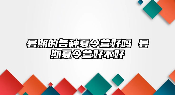 暑期的各種夏令營好嗎 暑期夏令營好不好