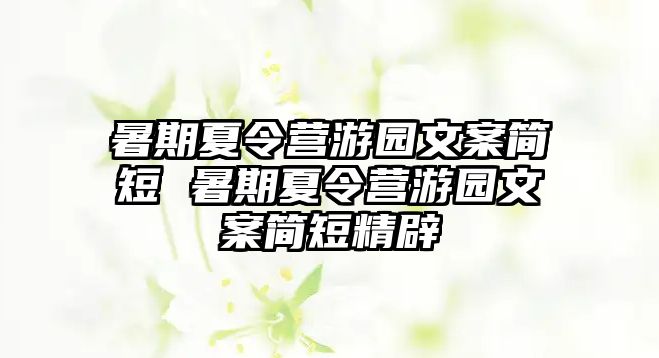 暑期夏令營游園文案簡短 暑期夏令營游園文案簡短精辟