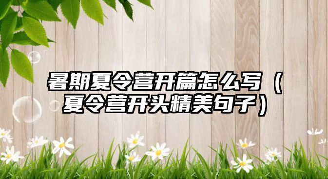 暑期夏令營開篇怎么寫（夏令營開頭精美句子）