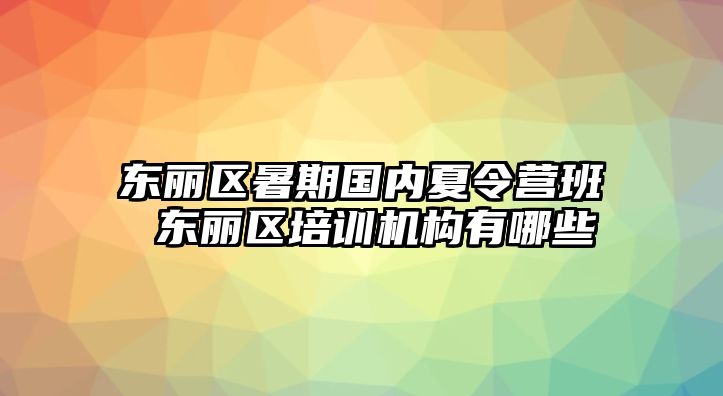 東麗區暑期國內夏令營班 東麗區培訓機構有哪些