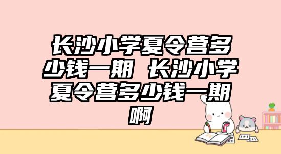 長沙小學夏令營多少錢一期 長沙小學夏令營多少錢一期啊