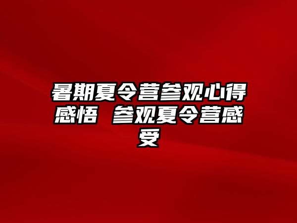 暑期夏令營參觀心得感悟 參觀夏令營感受