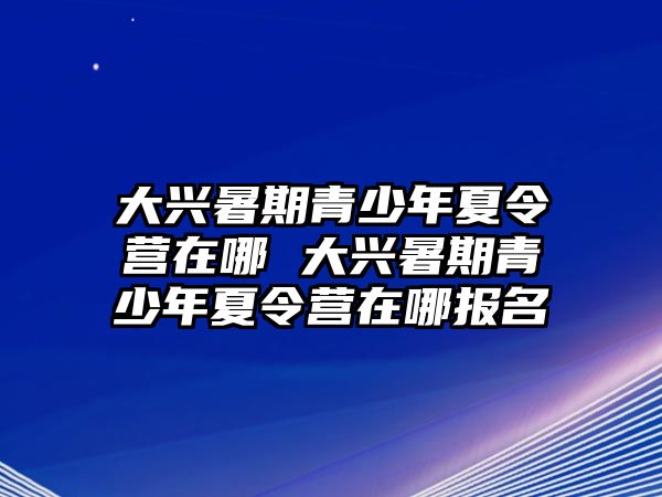 大興暑期青少年夏令營在哪 大興暑期青少年夏令營在哪報名