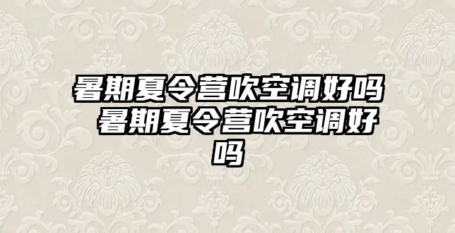 暑期夏令營吹空調好嗎 暑期夏令營吹空調好嗎