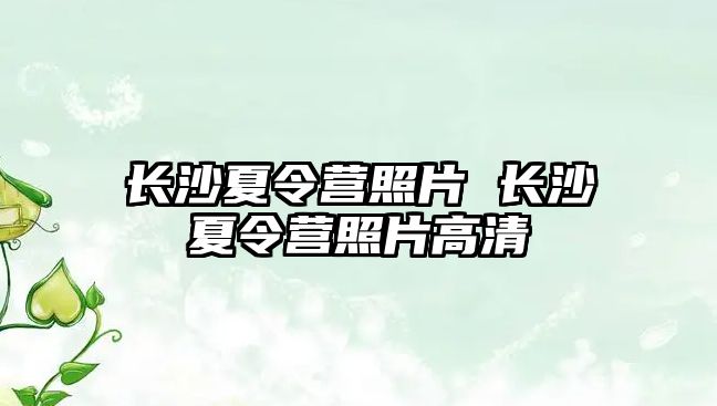 長沙夏令營照片 長沙夏令營照片高清