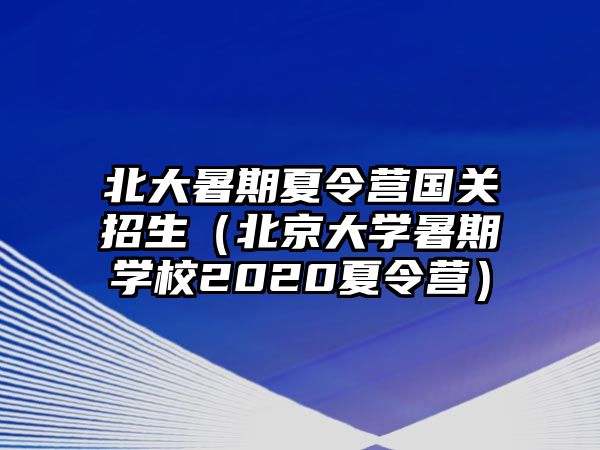 北大暑期夏令營國關招生（北京大學暑期學校2020夏令營）