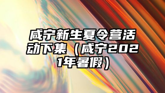 咸寧新生夏令營活動下集（咸寧2021年暑假）