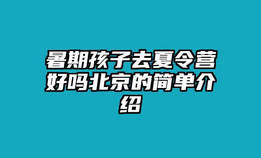 暑期孩子去夏令營(yíng)好嗎北京的簡(jiǎn)單介紹