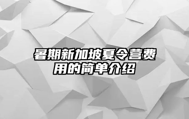 暑期新加坡夏令營費用的簡單介紹