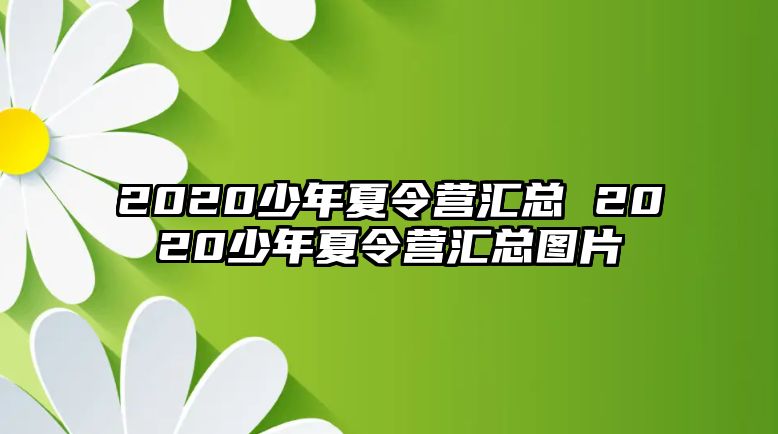 2020少年夏令營匯總 2020少年夏令營匯總圖片