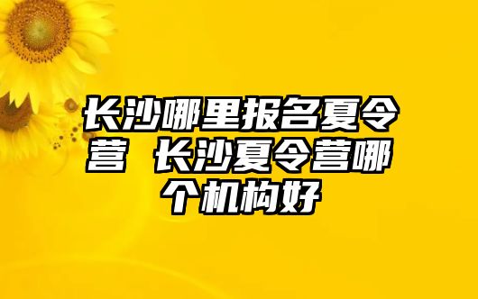 長沙哪里報名夏令營 長沙夏令營哪個機構好