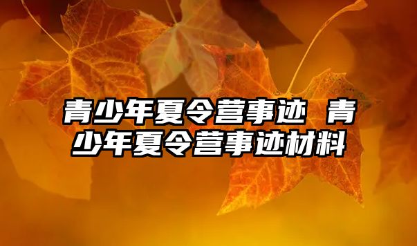 青少年夏令營事跡 青少年夏令營事跡材料