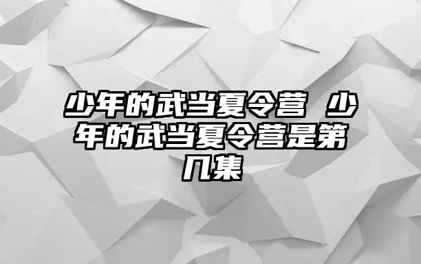 少年的武當夏令營 少年的武當夏令營是第幾集