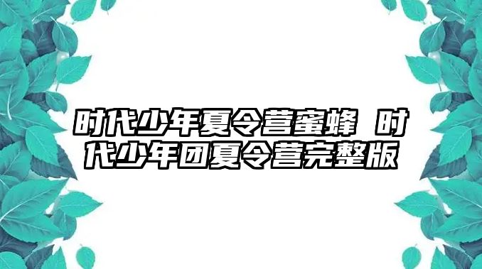 時代少年夏令營蜜蜂 時代少年團夏令營完整版