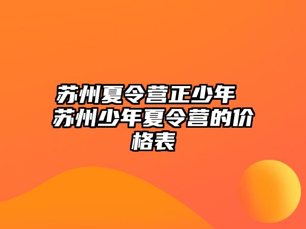 蘇州夏令營正少年 蘇州少年夏令營的價格表