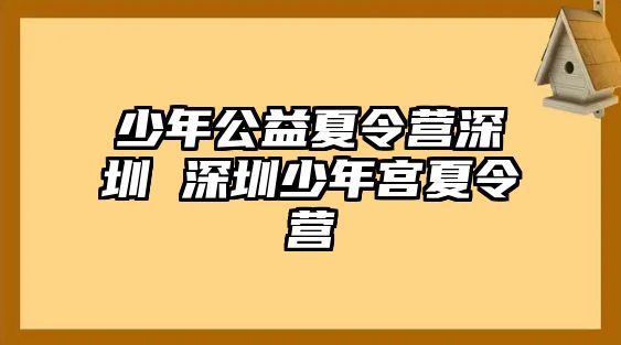 少年公益夏令營深圳 深圳少年宮夏令營