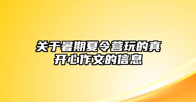 關于暑期夏令營玩的真開心作文的信息