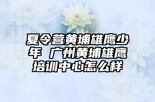 夏令營黃埔雄鷹少年 廣州黃埔雄鷹培訓中心怎么樣