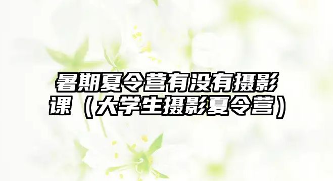 暑期夏令營有沒有攝影課（大學生攝影夏令營）