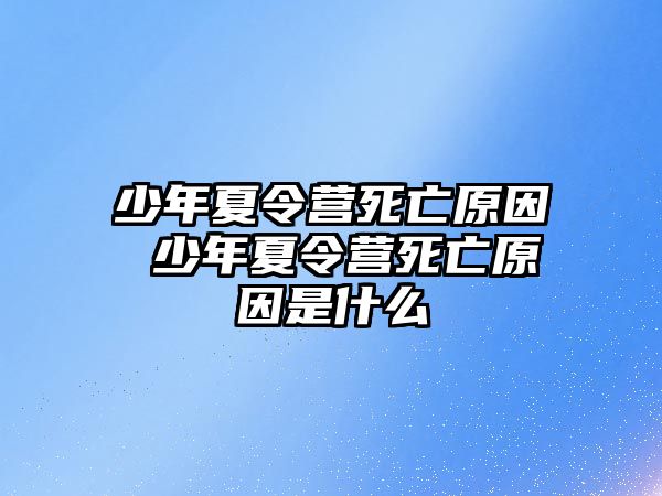 少年夏令營(yíng)死亡原因 少年夏令營(yíng)死亡原因是什么