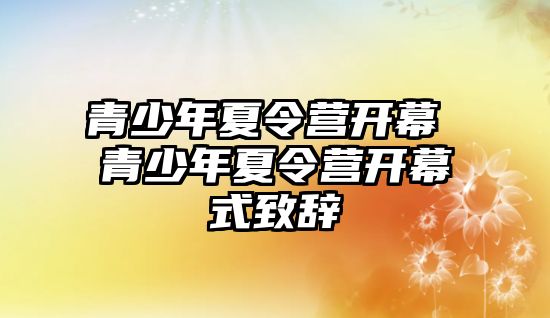 青少年夏令營開幕 青少年夏令營開幕式致辭