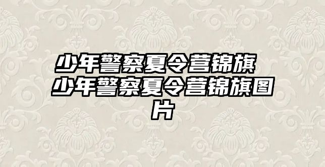 少年警察夏令營錦旗 少年警察夏令營錦旗圖片